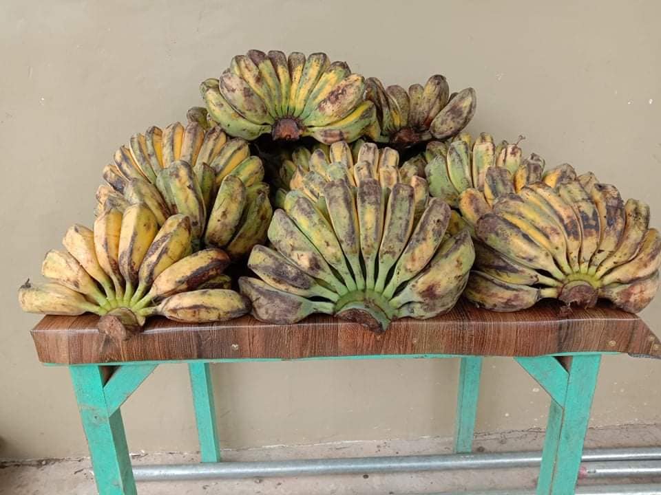 Cardava Banana