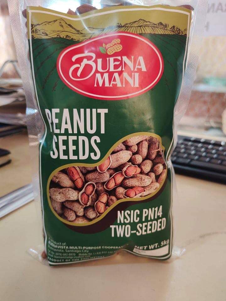 Peanut Seeds