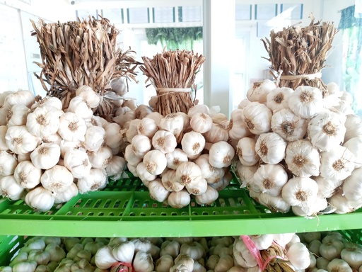 1kg Garlic