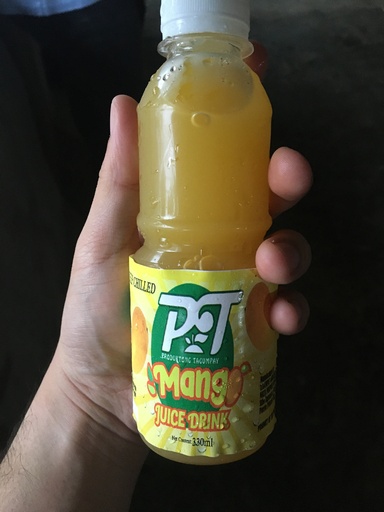 Mango Juice